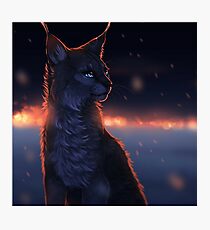 Bruce - The Lynx Photographic Print