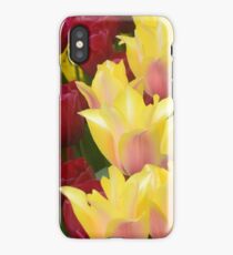 Collaboration iPhone Case