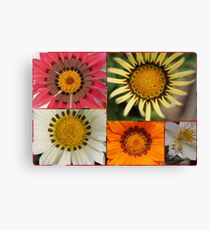 50mm Canvas Print