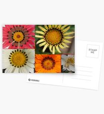 50mm Postcards