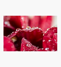 Glittery World Photographic Print