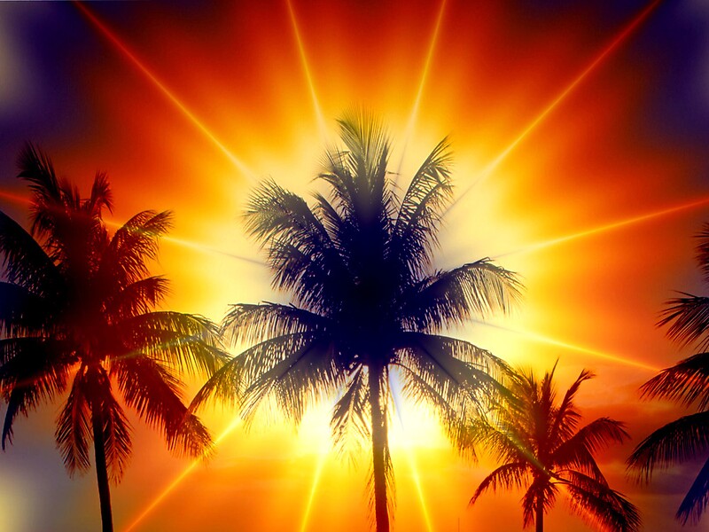 "Light in Paradise" by Brian Exton Redbubble