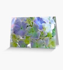 Sweet Hydrangea Greeting Card