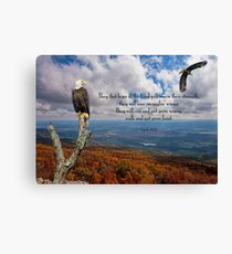 Isaiah 40:31 Canvas Print