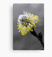 Pop-Colour Flower Canvas Print