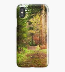 Ireland - Nature - Ravensdale iPhone Case/Skin