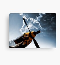 Mustang Canvas Print