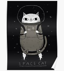 space cat Poster