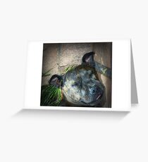 Sweet Dreams Darling Girl Greeting Card