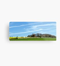 Painted Skies Metal Print