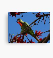 Gourmet Canvas Print
