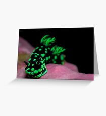 Nudibranch Greeting Card