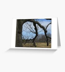 Big Old Tree Greeting Card