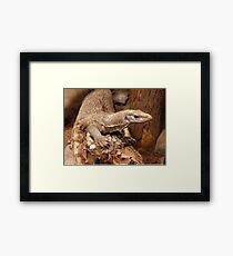 I Got My Eye On You Framed Print