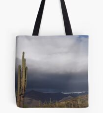 Rainy Arizona Desert Tote Bag