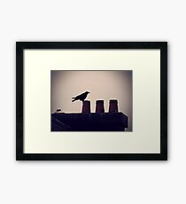 Crow Framed Print