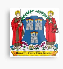 Coat of Arms of Dublin Metal Print