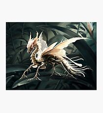 Insect dragon Photographic Print