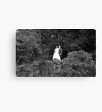 Weddings Canvas Print
