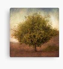 Whimsical Tree Canvas Print
