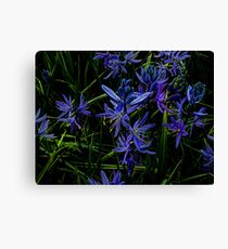 I Love Blue Canvas Print