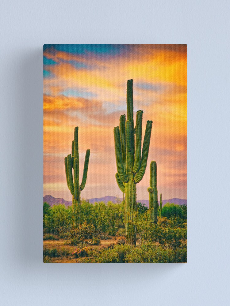 Alternate view of Arizona Life Canvas Print
