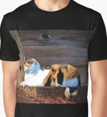 Calico Cat On The Steps Graphic T-Shirt