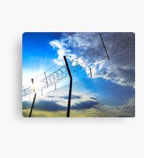 Border Metal Print