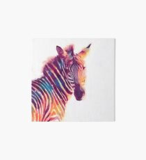 The Aesthetic - Watercolor Zebra Illustration Art Board