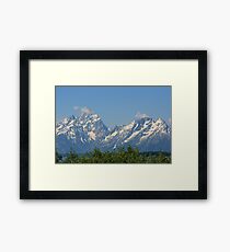 Twins Framed Print