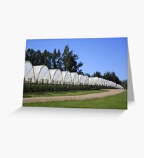 Corindi, population 1435. Jobs available 1200 Greeting Card