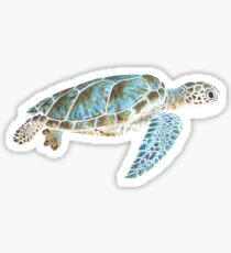 Sea turtle underwater Sticker