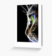 cat Greeting Card