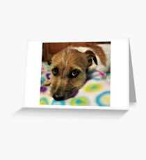 Scooter Ray Greeting Card