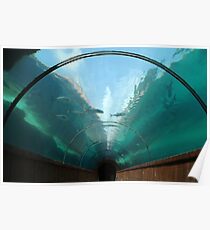 Atlantis Tunnel Poster