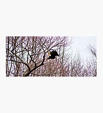Geronimo! Photographic Print