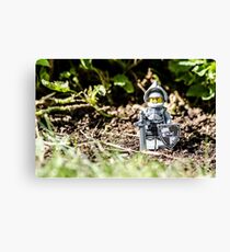 Sir Gleamalot Canvas Print