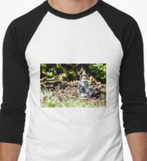 Sir Gleamalot Men's Baseball ¾ T-Shirt