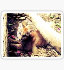 lion Sticker