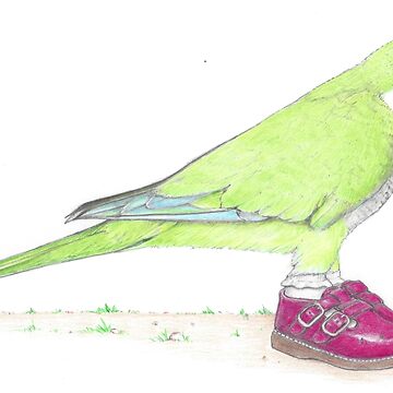Artwork thumbnail, Quaker parrot in Mary Janes by JimsBirds