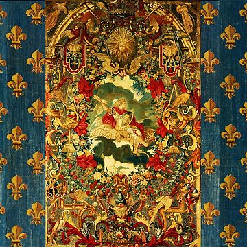 SEASONS AND ELEMENTS, AIR AND JUPITER, LOUIS XIV French Royal Embroidery  Tapestry  Socks for Sale by BulganLumini