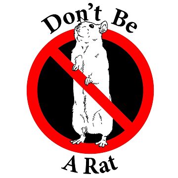 Artwork thumbnail, Don't Be a Rat - Keep your secrets - Respect your Team by notstuff