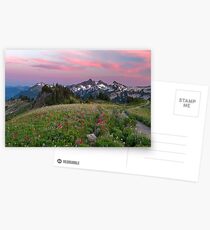 Mazama Ridge Wildflowers Postcards