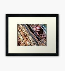 geological fault Framed Print