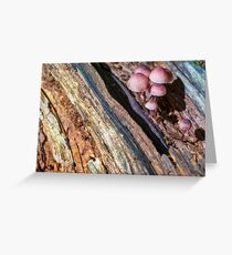 geological fault Greeting Card