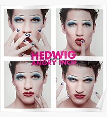 Darren Criss as Hedwig Poster