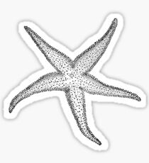 Black and White Starfish Sticker