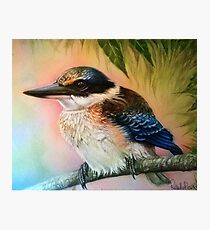 Kingfisher Photographic Print