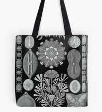 Haeckel Diatomea Tote Bag