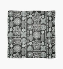 Haeckel Diatomea Scarf